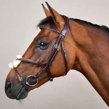 Bridon Muserolle Gekruist D Collection by Dy'on Bruin