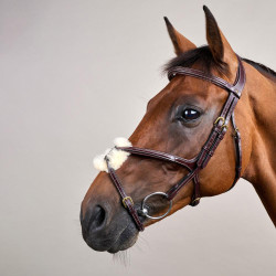 Bridon Muserolle Croisée D Collection by Dy'on Brun Marron Bridon Muserolle Croisée D Collection by Dy'on Brun Marron