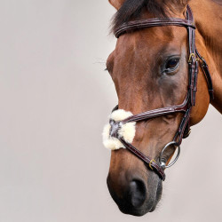 Bridon Muserolle Croisée D Collection by Dy'on Brun Marron Bridon Muserolle Croisée D Collection by Dy'on Brun Marron