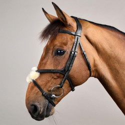 Bridon Muserolle Croisée New English Collection by Dy'on Noir