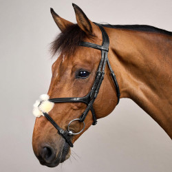 Bridon Muserolle Croisée New English Collection by Dy'on Noir