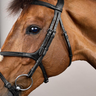 Bridon Muserolle Croisée New English Collection by Dy'on Noir