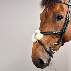 Bridon Muserolle Kruis New English Collection by Dy'on Zwart Bridon Muserolle Kruis New English Collection by Dy'on Zwart