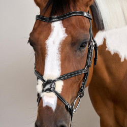 Bridon Muserolle Croisée Working By Dy'on Noir