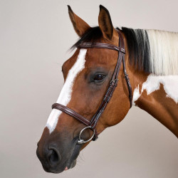 Franse Neusriem US Collectie van Dy'on Bruin Franse Neusriem US Collectie van Dy'on Bruin