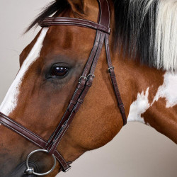 Franse Neusriem US Collectie van Dy'on Bruin Franse Neusriem US Collectie van Dy'on Bruin