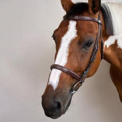 Bridon Muserolle Française US Collection by Dy'on Brun Marron