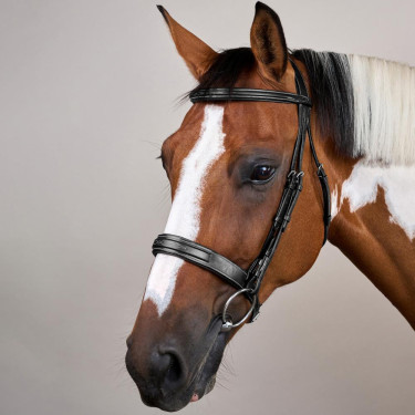 Bridon Muserolle Large Hunter US Collection by Dy'on Noir Bridon Muserolle Large Hunter US Collection by Dy'on Noir