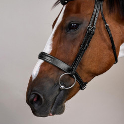 Bridon Muserolle Large Hunter US Collectie van Dy'on Zwart Bridon Muserolle Large Hunter US Collectie van Dy'on Zwart