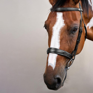 Bridon Muserolle Large Hunter US Collection by Dy'on Noir Bridon Muserolle Large Hunter US Collection by Dy'on Noir