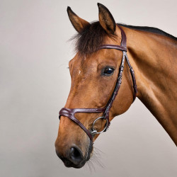 Bridon X-Fit New English Collection van Dy'on Bruin