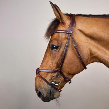 Bridon X-Fit New English Collection van Dy'on Bruin