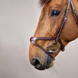 Bridon X-Fit New English Collection by Dy'on Brun Marron