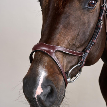 Bridon X-Fit US Collection by Dy'on Brun Marron