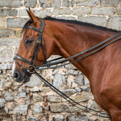 Duitse teugels Full Leather 1/2 D Collection by Dy'on Zwart