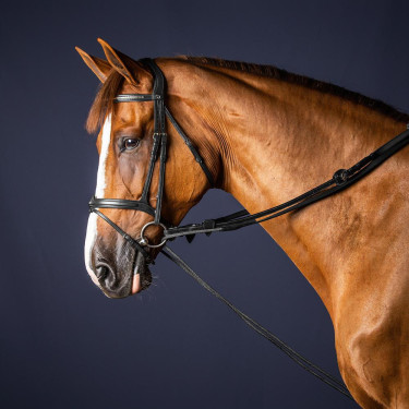 Duitse teugels Leder/Nylon 5/8 New English Collection by Dy'on Zwart