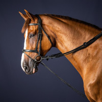 Rênes allemandes Leather/Nylon 5/8 New English Collection by Dy'on Noir