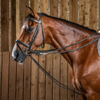 Rênes allemandes Full Leather 1/2 Working By Dy'on Noir Rênes allemandes Full Leather 1/2 Working By Dy'on Noir