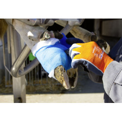 Rouleau d'ouate Rollino Kerbl Rouleau d'ouate Rollino Kerbl