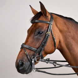 Gecombineerde Neusriem D Collection by Dy'on Zwart
