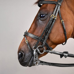 Gecombineerde Neusriem D Collection by Dy'on Zwart