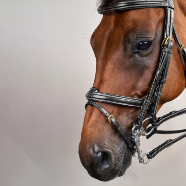 Bride Muserolle Combinée D Collection by Dy'on Noir