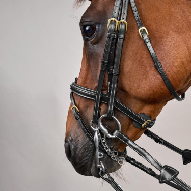 Bride Muserolle Combinée D Collection by Dy'on Noir