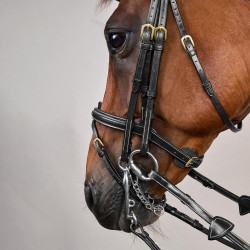 Gecombineerde Neusriem D Collection by Dy'on Zwart