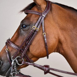 Gecombineerde Neusriem D Collection by Dy'on Bruin