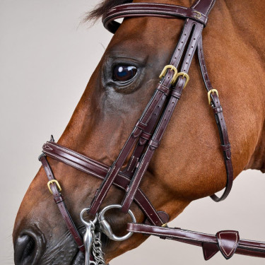 Bride Muserolle Combinée D Collection by Dy'on Brun Marron