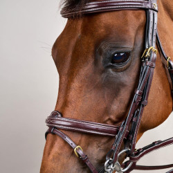 Gecombineerde Neusriem D Collection by Dy'on Bruin