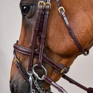 Bride Muserolle Combinée D Collection by Dy'on Brun Marron