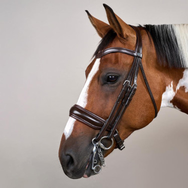 Trenshoofdstel Grote Matte Werking Door Dy'on Bruin