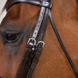 Trenshoofdstel Grote Matte Werking Door Dy'on Bruin