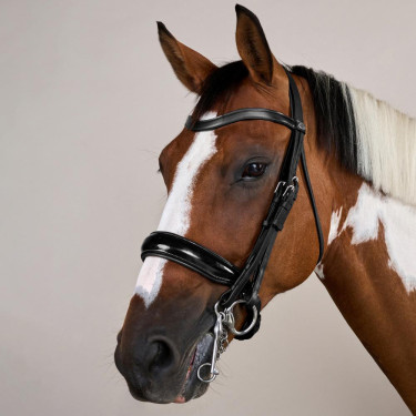 Muserolle Bride Large Vernie Working By Dy'on Zwart