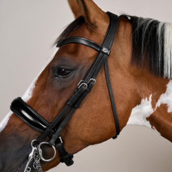 Muserolle Bride Large Vernie Working By Dy'on Zwart