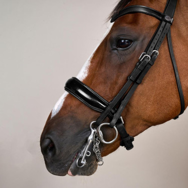 Muserolle Bride Large Vernie Working By Dy'on Zwart