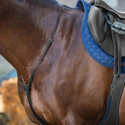 Yoke New English Collection by Dy'on Noir Yoke New English Collection by Dy'on Noir