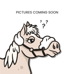 Martingale A Anneaux US Collection by Dy'on Noir