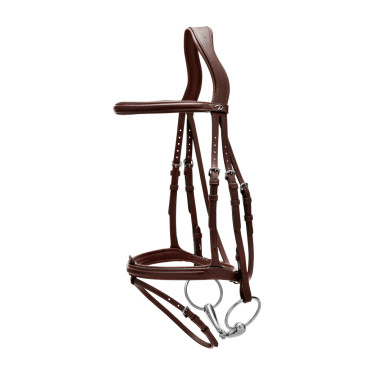 Bridon Sperriem Combinée Dy'on New English Collection Bruin