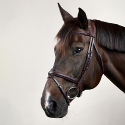 Bridon Muserolle Combinée Dy'on New English Collection Marron