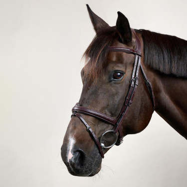 Bridon Sperriem Combinée Dy'on New English Collection Bruin