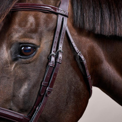 Bridon Sperriem Combinée Dy'on New English Collection Bruin