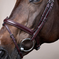 Bridon Sperriem Combinée Dy'on New English Collection Bruin