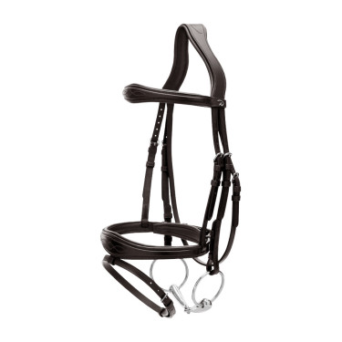 Bridon Muserolle Combinée Anatomique Dy'on New English Collection Noir