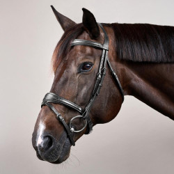 Bridon Mexicaans gecombineerde Dy'on New English Collection Zwart