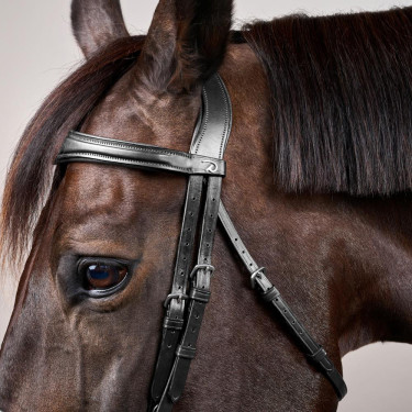 Bridon Mexicaans gecombineerde Dy'on New English Collection Zwart