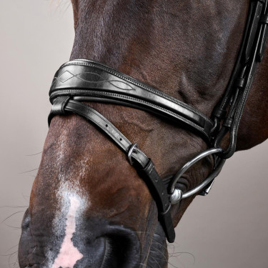 Bridon Mexicaans gecombineerde Dy'on New English Collection Zwart