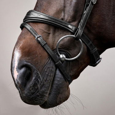 Bridon Muserolle Combinée Anatomique Dy'on New English Collection Noir