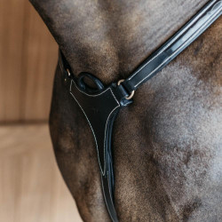 Collier de chasse 5 points avec élastiques D Collection Dy'on Noir